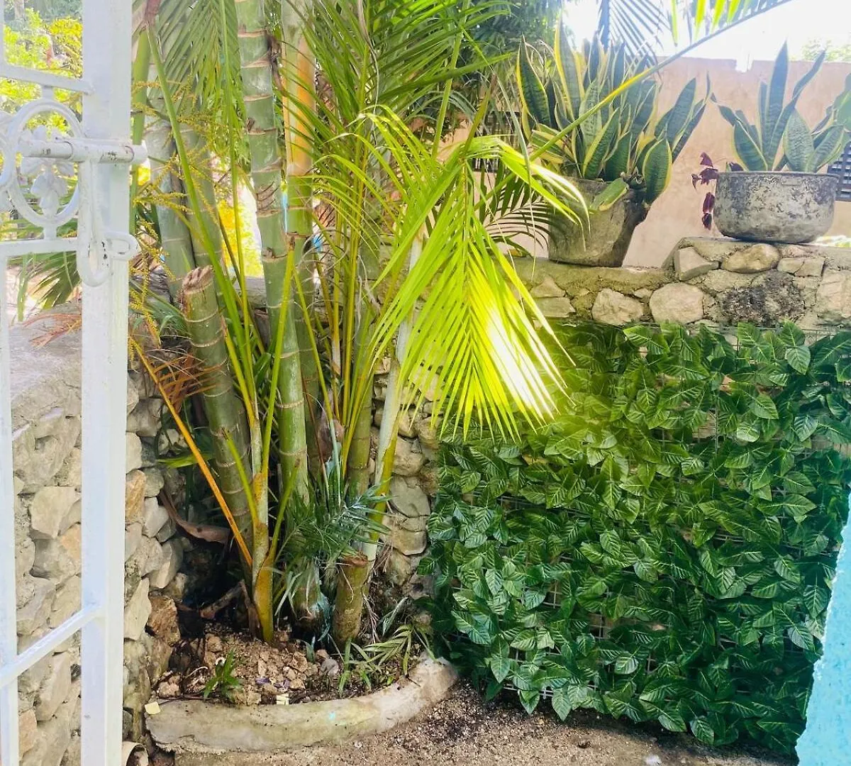 Rincon Del Mojito Appartement Barahona